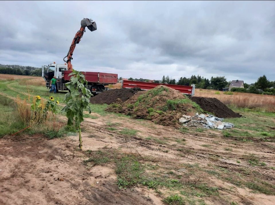 Bagger Radlader Siebanlage in Kremmen