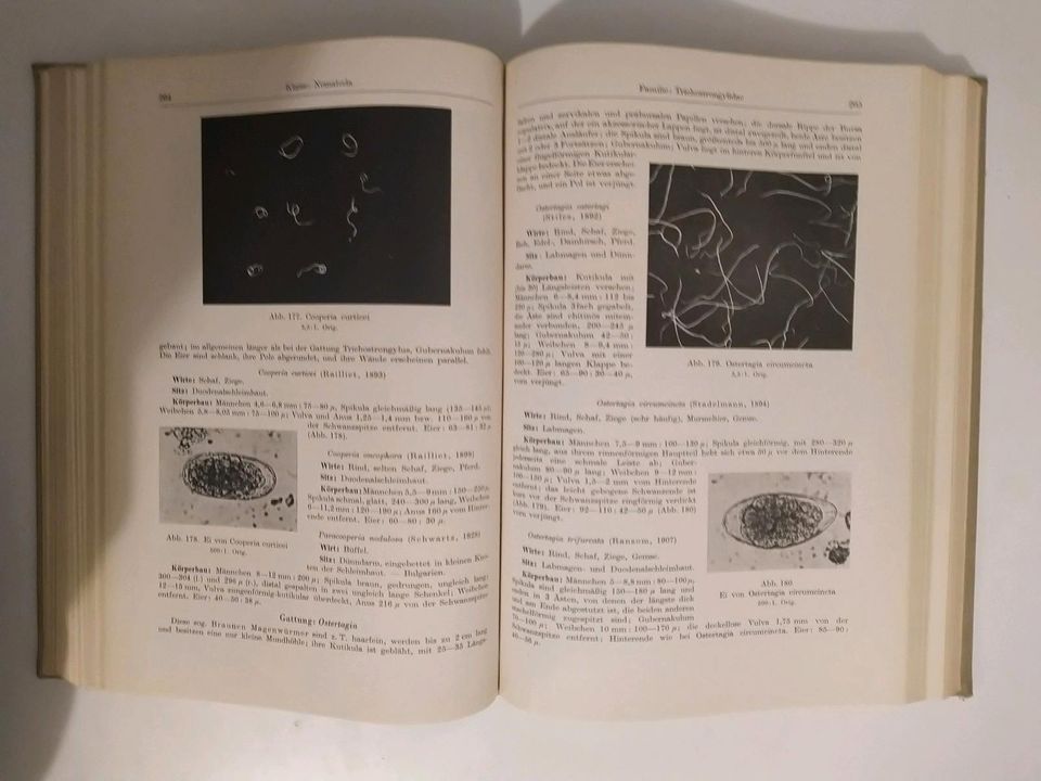 Lehrbuch der Parasitologie für Tierärzte Alfred Borchert in Wiesbaden