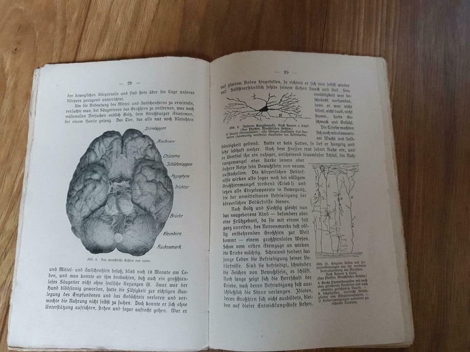 Antikes Buch, Heft, Medizin, Psychologie in Affing