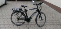 E-Bike MCKENZIE Baden-Württemberg - Nagold Vorschau