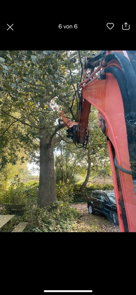 Knickpflege Knicken Fällgreifer Astschere Hecke kneifen in Alt Duvenstedt