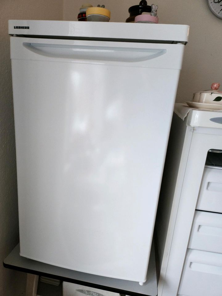 Kühlschrank in Warnau b Nettelsee