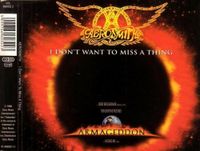 MAXI SINGLE - AEROSMITH - I DON'T WANT TO MISS A THING  + 3 SONGS Aachen - Aachen-Richterich Vorschau