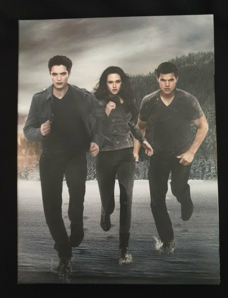 DVD die twilight saga Biss zum Ende der Nacht teil 2 in Hagen im Bremischen