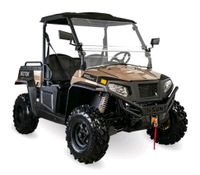 HISUN SECTOR 450 UTV ATV Buggy Side by side Hessen - Witzenhausen Vorschau