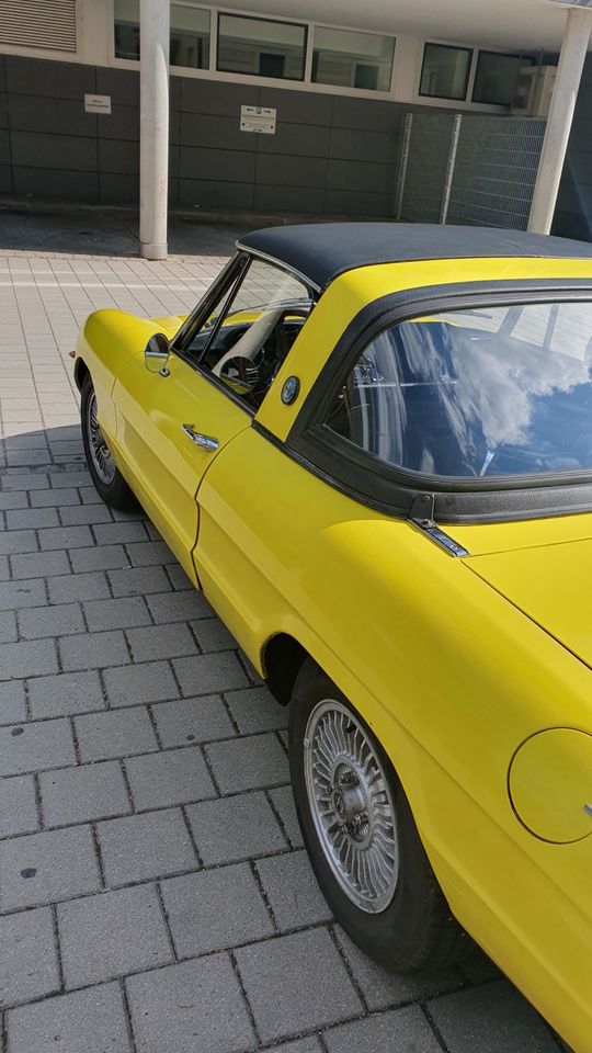 Alfa Romeo Spider Targa Prototyp Preis verhandelbar in Regensburg