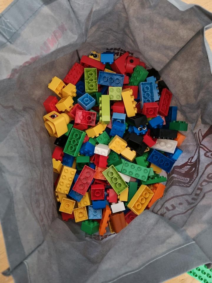 Lego Duplo Steine in Künzell
