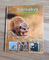 Buch Tierbabies Niedersachsen - Cuxhaven Vorschau