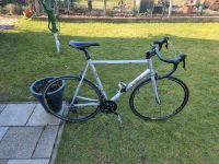 Carver Rennrad Rh61cm guter Zustand Shimano 105 Berlin - Reinickendorf Vorschau