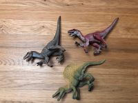 Schleich Dinosaurier Rheinland-Pfalz - Montabaur Vorschau