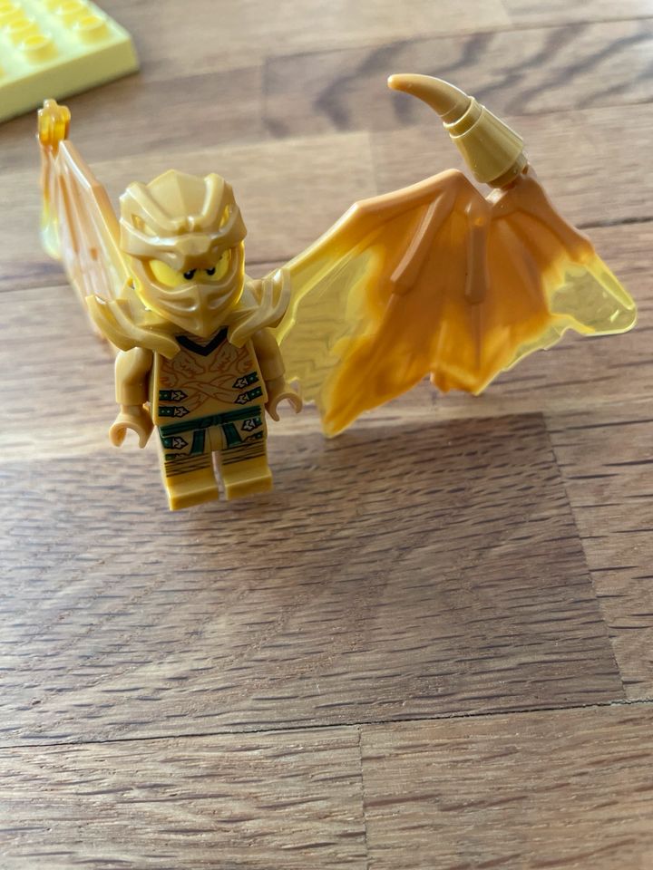 Lego NINJAGO Jays Golddrachen-Motorrad + Figuren und Karten in Dresden