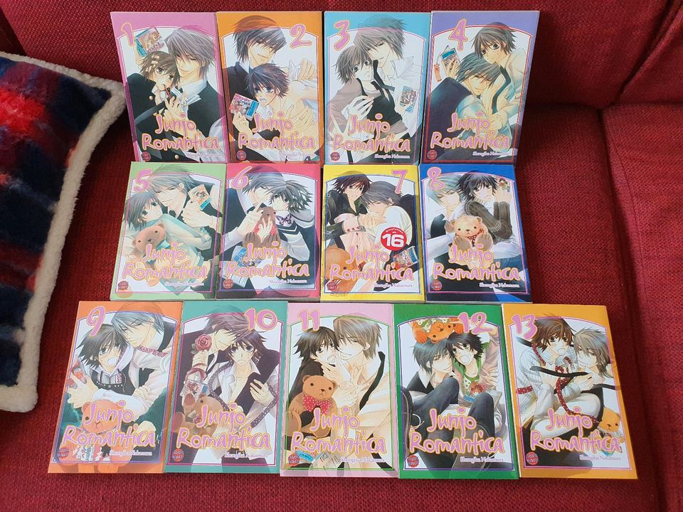 Junjo Romantica Band 1 - 13 gebraucht Manga Boys Love in Berlin