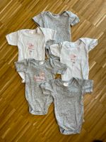 5er Set Baby Bodys von My Baby Lou (XXXLutz) 50/56 weiß/grau Bayern - Bergrheinfeld Vorschau