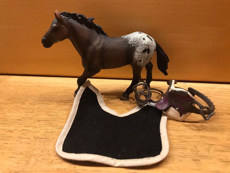 Schleich Appaloosa Hengst mit Sattel u Decke in Köln