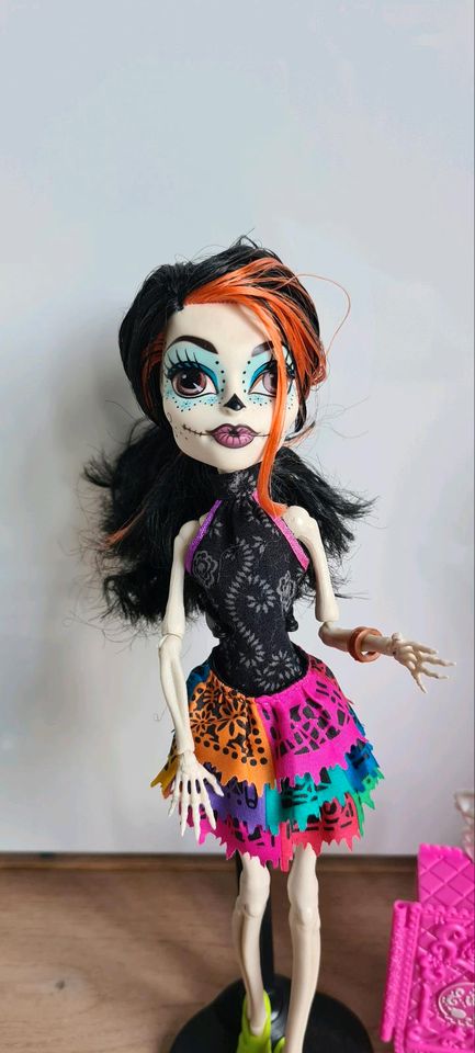 Monster High normal und zum Selbstgestalten in Sankt Augustin