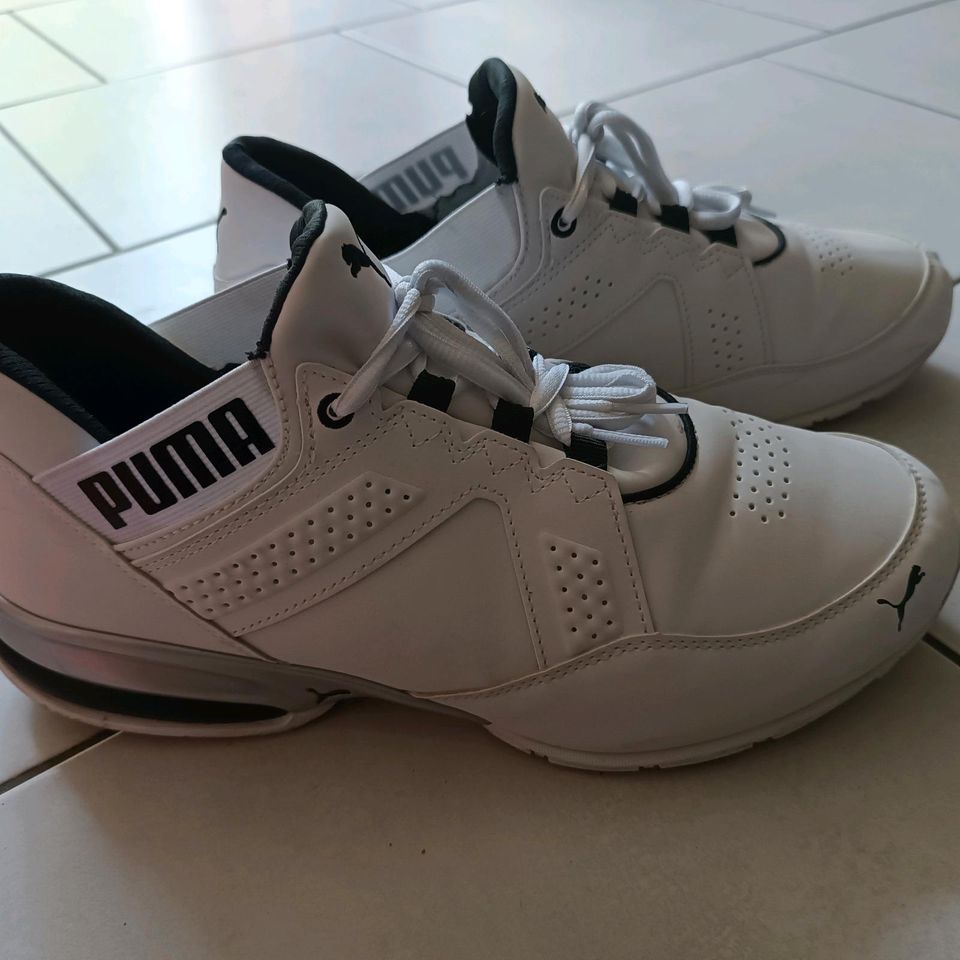 Puma Sneaker in Weinböhla