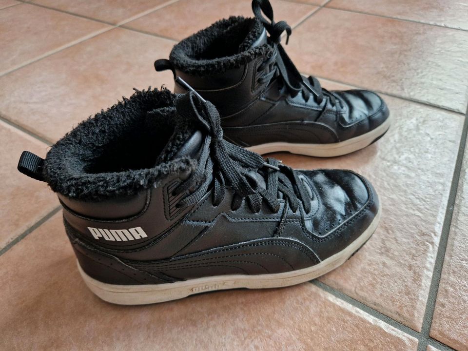 Kinder Sneaker, Leder, gefüttert, PUMA, Gr. 38, gut erhalten in Germering