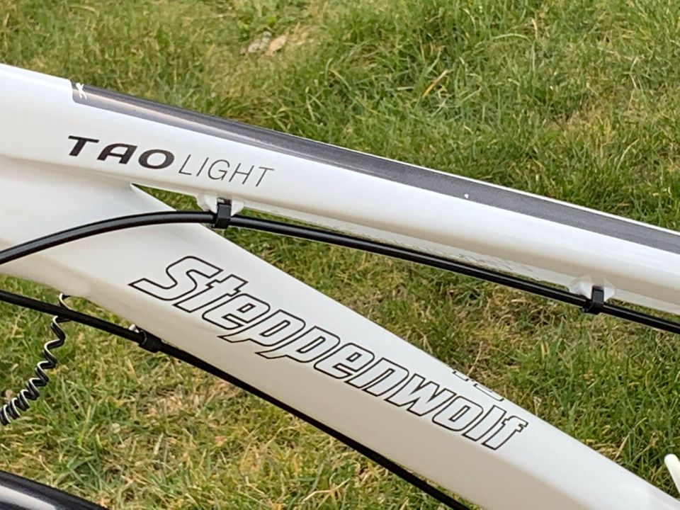 Steppenwolf Tao Light 6 Damen Fahrrad in Langerringen