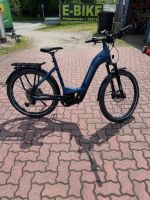 Haibike Trecking 8 Low  E-Bike Elektrofahrrad Schleswig-Holstein - Flintbek Vorschau