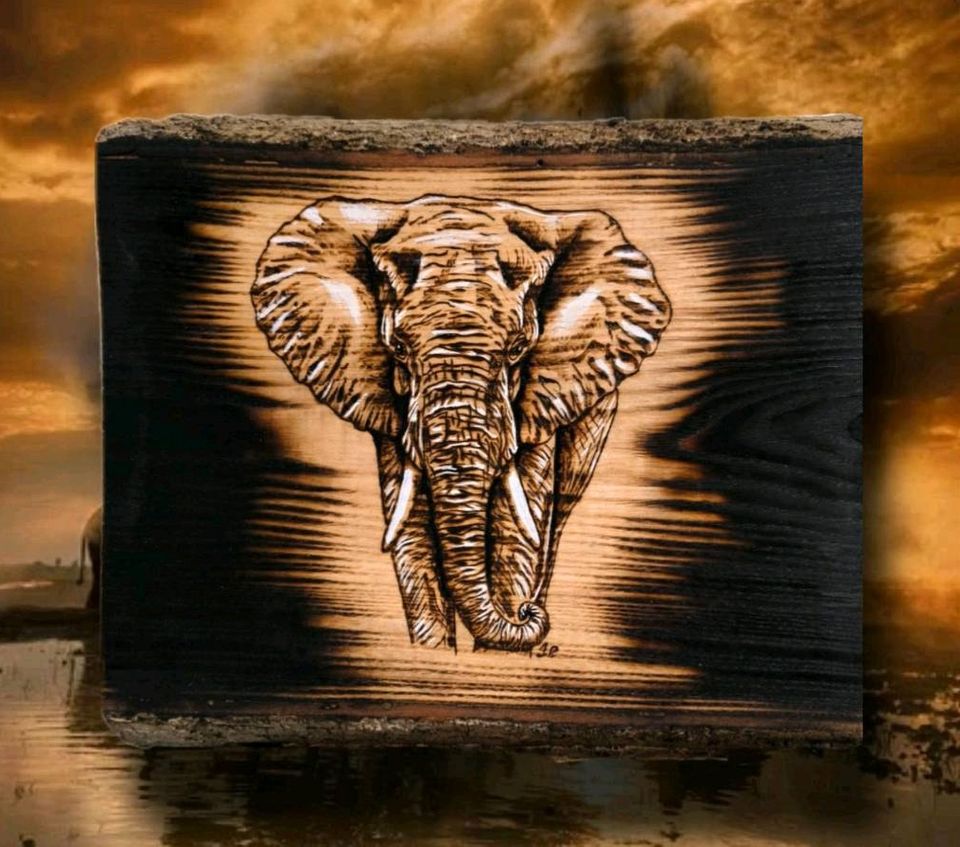 Pyrografie / Brennmalerei / Elefant / Holz in Wolfen