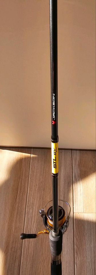 Jackson STL Spin Daiwa Freams 4000 X8 Braid geflochtene Raubfisch in Geesthacht