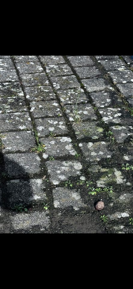 Steinreinigungen, Parkplätze, Terrassen, Hochdruckreinigungen in Riegelsberg