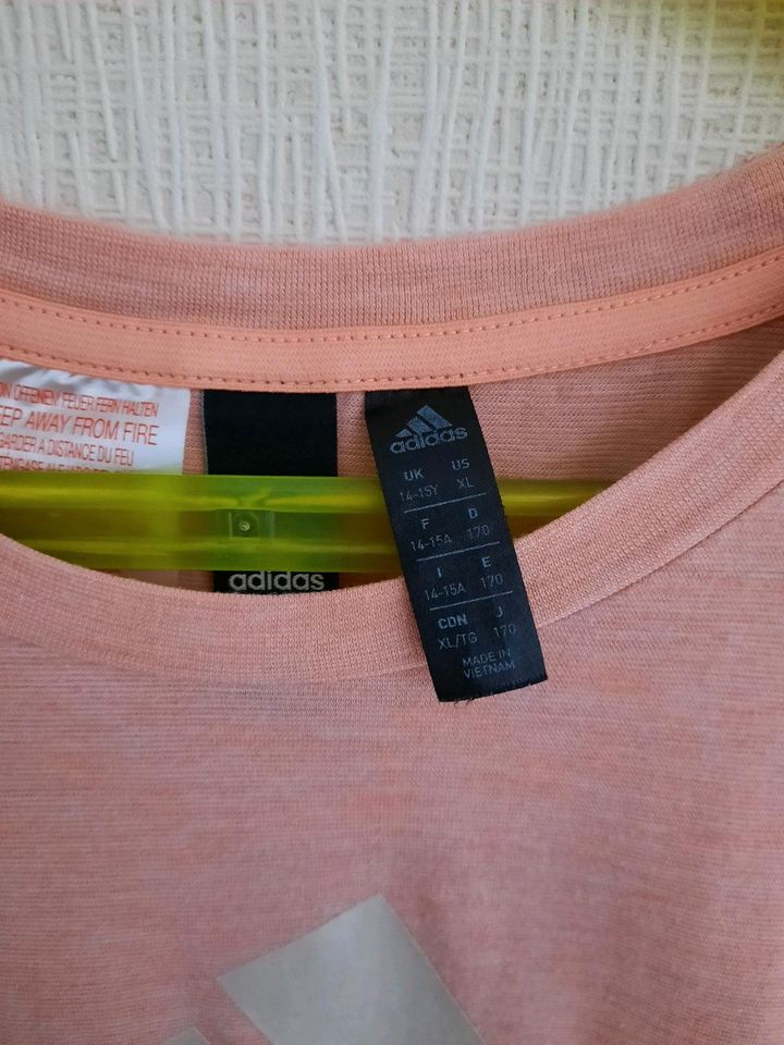 4x T-Shirt u.a. H&M Adidas Staccato Größe 170 176 in Bischoffen