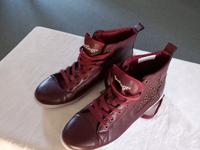 neue Chucks von Doo Dogs Bayern - Marktzeuln Vorschau
