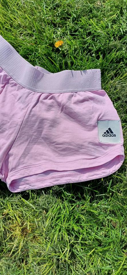 Adidas Shorts kurze Hose sexy Sommer S in Hörstel