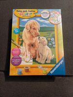 *NEU* Malen nach Zahlen Hunde Ravensburger 28476 Kreis Pinneberg - Schenefeld Vorschau