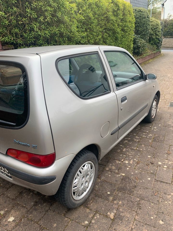 Fiat Seicento zum Ausschlachten mit TÜV BIS 10.25!! in Puderbach