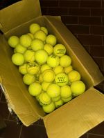Alte Tennisbälle zu verkaufen Niedersachsen - Edewecht Vorschau