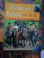 Pferde und Reiten von A-Z Rheinland-Pfalz - Mainz Vorschau