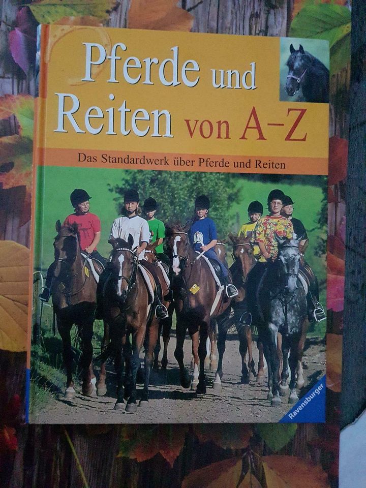 Pferde und Reiten von A-Z in Mainz