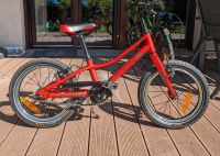 Giant ARX 16 Zoll Kinder Fahrrad Berlin - Köpenick Vorschau