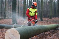 Suche Aushilfe für Land- Forstwirtschaft und Bau Bayern - Schlüsselfeld Vorschau