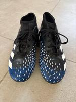 Verkaufe Stollen-Fußballschuhe von Adidas Predator Hessen - Hofgeismar Vorschau