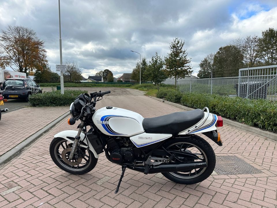 Yamaha RD250 LC in Moers