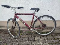 Fahrrad 28" Rheinland-Pfalz - Saulheim Vorschau