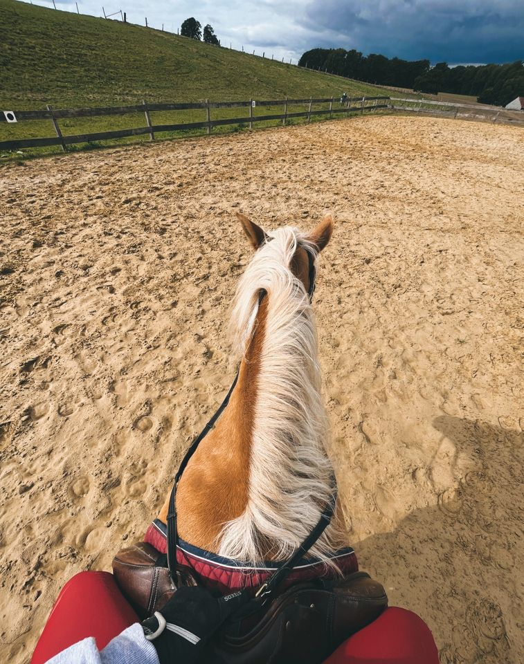 Reitbeteiligung gesucht in Unna