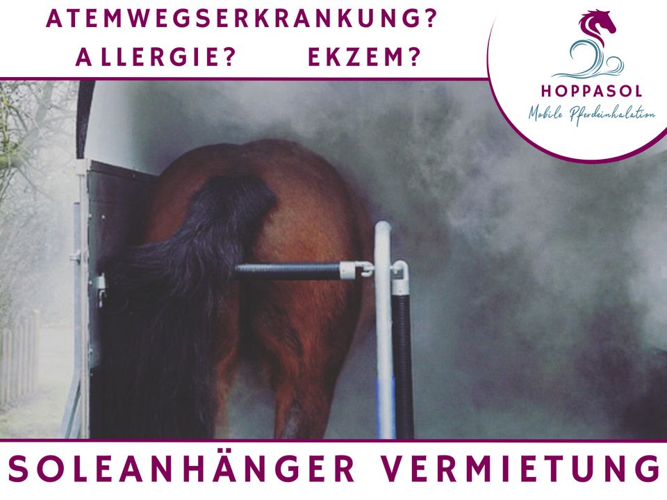 Sole Inhalationsanhänger für Pferde - Solekammer - Vermietung in Apensen