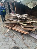 Brennholz zu verschenken Nordrhein-Westfalen - Bottrop Vorschau