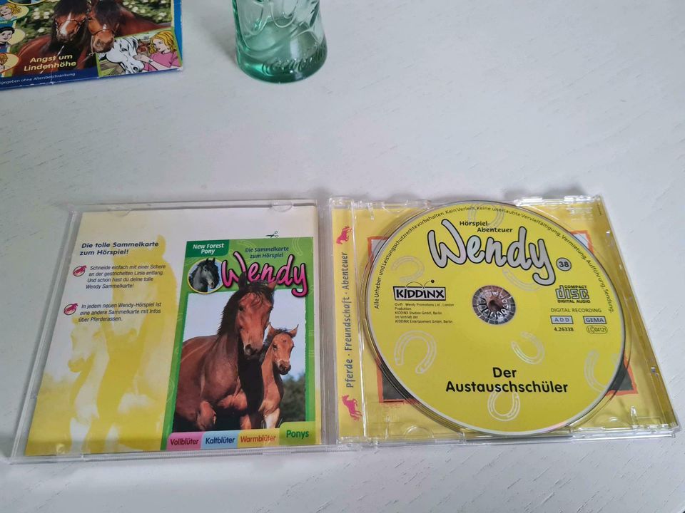 Wendy "Der Austauschschüler" CD in Neu-Eichenberg