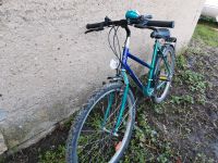 Fahrrad 24 zoll California Sachsen - Delitzsch Vorschau