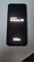 Samsung Galaxy s8 top, neuwertiger Zustand Kiel - Suchsdorf Vorschau