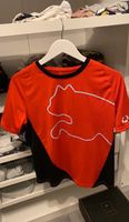 Puma Trainingsshirt Rheinland-Pfalz - Warmsroth Vorschau