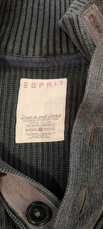 Herren Pullover von Esprit, Gr. M in Glonn