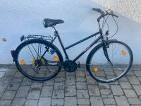 Fahrrad 28 Zoll Baden-Württemberg - Bad Wimpfen Vorschau