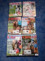 Cavallo Reitsport Magazin 2003 - 2005  > 12 Hefte Niedersachsen - Langelsheim Vorschau