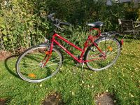 Epple Fahrrad Baden-Württemberg - Friedrichshafen Vorschau